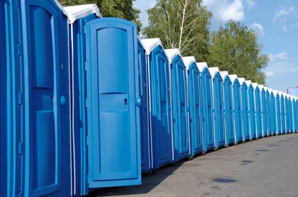 Best Sanitation services for porta potties  in Ishpeng, MI